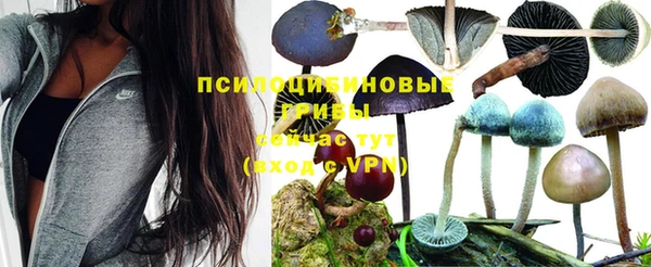 герыч Баксан