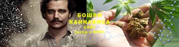 бутират Белокуриха
