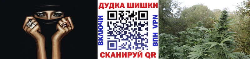 Шишки марихуана марихуана  omg как войти  Буинск 